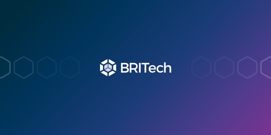 BRITech SaaS Investment Portfolio Management Platform - BRITech